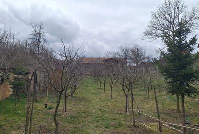 Casă cu 1 camere în Exterior Vest - 5