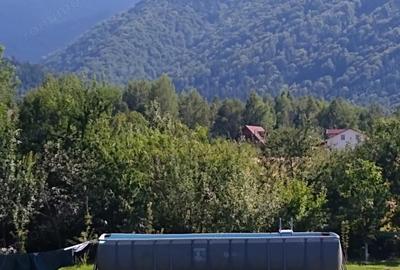 Casă cu Teren 1800 Mp în Dejani - 6