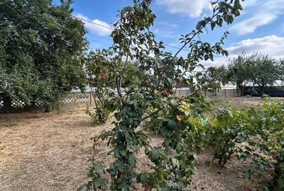 Casă cu 5 camere cu Teren 577 Mp în Frumușani - 5