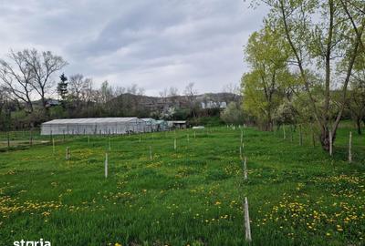 Teren de 1809 mp, în Moțăieni - 7