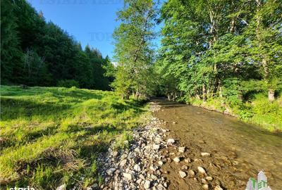 Spațiu comercial, în Vama Buzăului