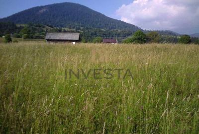 Teren Construcții intravilan de 12588 mp, în Tiha Bârgăului - 3