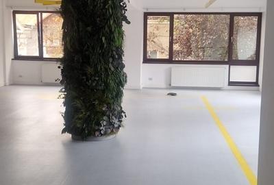 Casă individuală cu 4 camere cu Canalizare în P-ța Unirii - 9