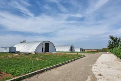 Industrial PARK for Sale – 4 Warehouses with Land, Near Bucharest (INTRAVILAN) - 1