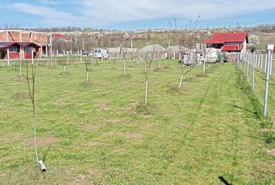 Teren de 1500 mp, în Șomcuta Mare - 16