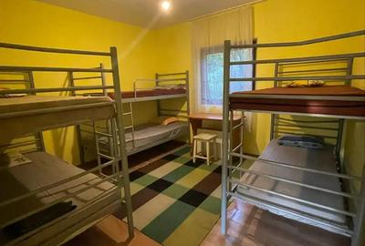 Camere la curte de inchiriat pentru echipe de muncitori si straini