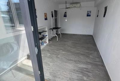 Spatiu comercial & birouri 10 mp 250mp. Suprafete &intrari la alegere. Mioritei 50. Vedere stradala - 3