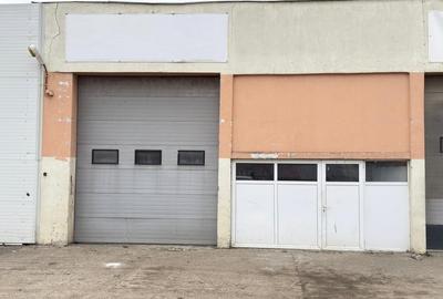 Hala 120 mp, inaltime 5m, parcare, Criseni - 3