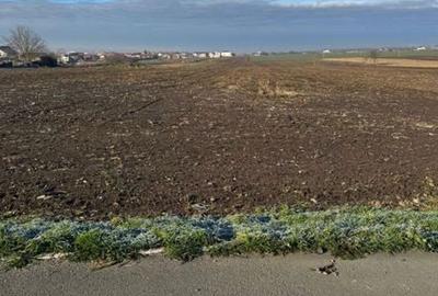 Teren de 5000 mp, în Far - 4