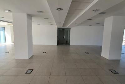 Birou, de 6,000 mp, în Dragomirești-Vale - 15