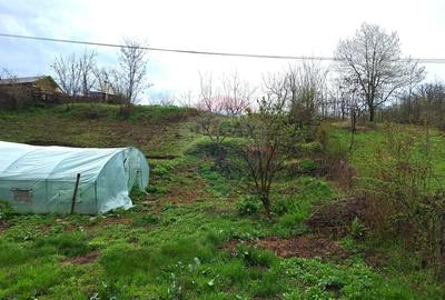 Casa / Vila de vanzare in Magura Buzau - 11