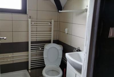 Casă individuală cu 8 camere cu Canalizare în Molid - 25