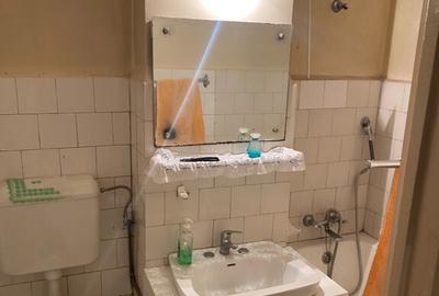 Apartament 2 camere Fizicienilor - 4