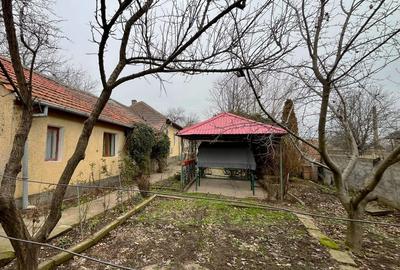 Casă cu 4 camere cu Teren 700 Mp în Cetate - 3