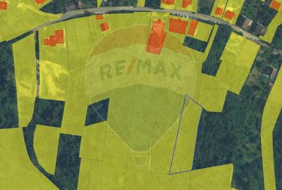 Teren Construcții intravilan de 2710 mp, în Schei - 6
