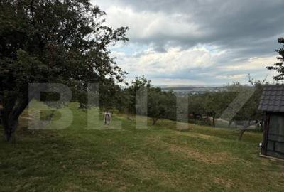 Casa etaj, 140 mp utili, 4800 mp teren, Adancata - 5