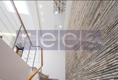 Vilă Premium ideală pentru Beauty Hub / clinică estetică  | Tei | an 2016 - 11