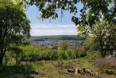 Teren în Platou - 1