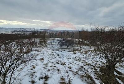 Teren de 10000 mp, în Rădășeni - 15