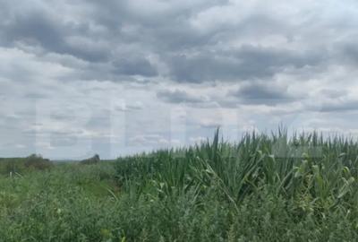 Teren de 3500 mp, în Rădăuți