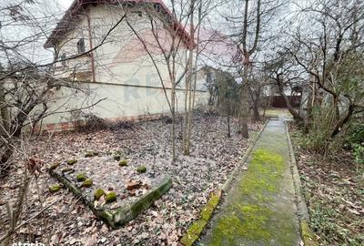 Spațiu comercial, în Dămăroaia - 10