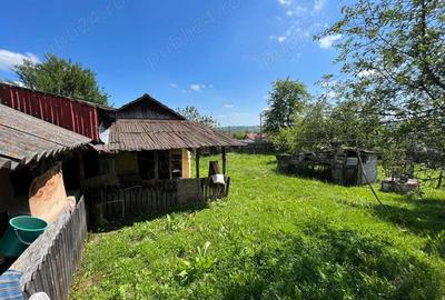 Casa la Ciovarnasani 3600mp - 4