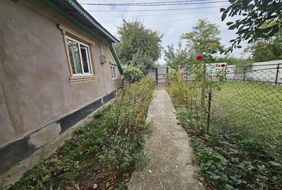 Casă cu Teren 2800 Mp în Bolotești - 7