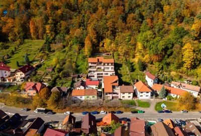 Penthouse cu 4 camere decomandat în Schei - 3