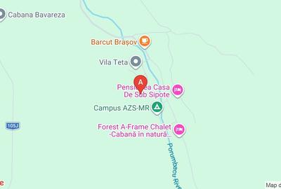 Casă individuală cu 6 camere cu Teren 2004 Mp în Porumbacu de Jos - 11