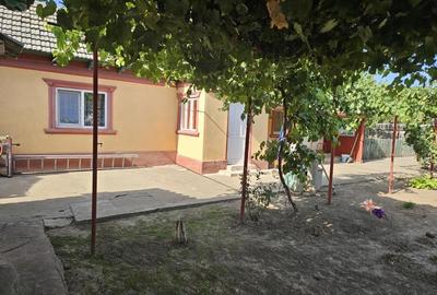 Casă cu 3 camere cu Teren 1420 Mp în Mihail Kogălniceanu - 2
