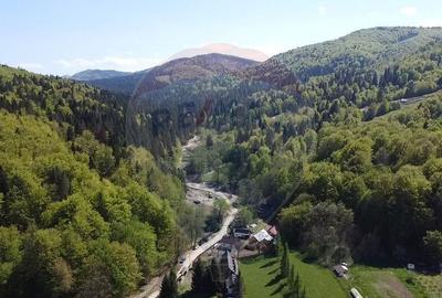 Casa de vancata Bucsoaia - 13