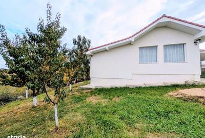 Casă cu 3 camere cu Teren 833 Mp în Biharia - 4