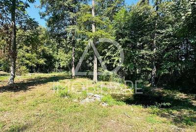 Un peisaj de poveste, ideal pentru investi?ie, Comuna Crasna - 5