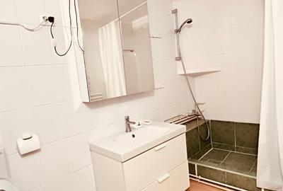 La cativa pasi de Piata Victoriei Metrou -  MANSARDA open space - 8