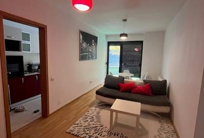 Apartament 2 camere cu terasa - 4