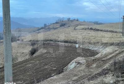 Teren de 5200 mp, în Ponor - 4