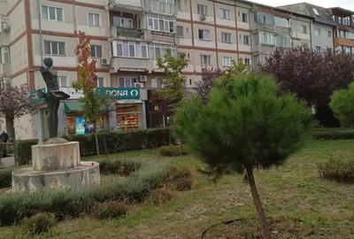 Apartament cu 2 camere decomandat în Lipovei