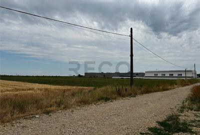 RECO Teren Extravilan(4500 MP) in Oradea - 3