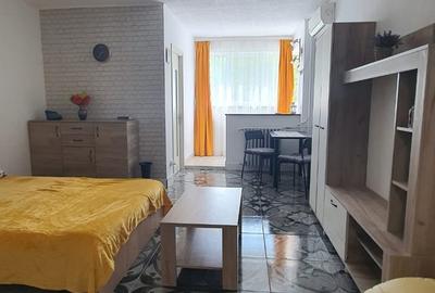 Garsonieră semidecomandată în Costin Georgian - 11