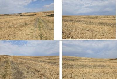 Teren Negureni, cota parte 1/8, ID: R2695094 - 6