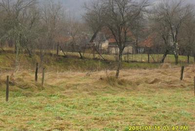 Vand teren in Ranusa - 14