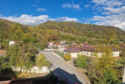 Ramnicu Valcea - Stirbei Voda - Raul Olanesti - 6