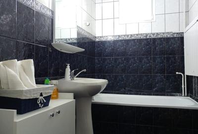Inchiz apartament cu 2 camere central Timisoara - 15