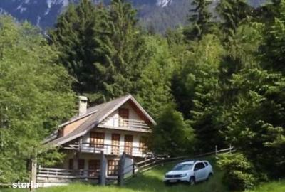 Casă cu 6 camere cu Teren 3884 Mp în Plaiul Foii - 1