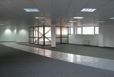 Birou, de 29.85000038147 mp, în Băneasa - 8