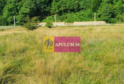 Teren Jude?ul Valcea - Brezoi, Valea lui Stan - 12