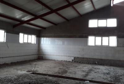 Proprietate specială, de 5,441 mp, în Vâlcelele - 6