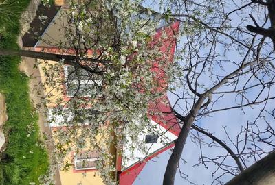 Casă cu 2 camere cu Teren 1154 Mp în Schitu Duca - 5