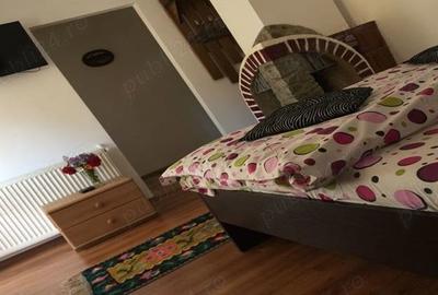 Casă cu 6 camere cu Teren 4600 Mp în Tarcău - 5