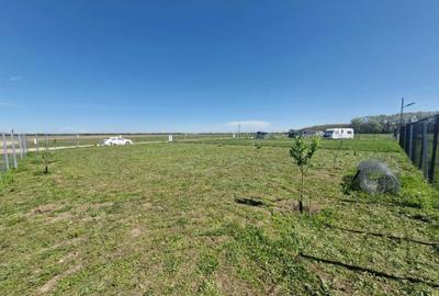 Teren de 606 mp, în Crevedia - 2